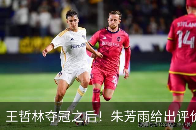 王哲林夺冠之后！朱芳雨给出评价，让众多主教练破防